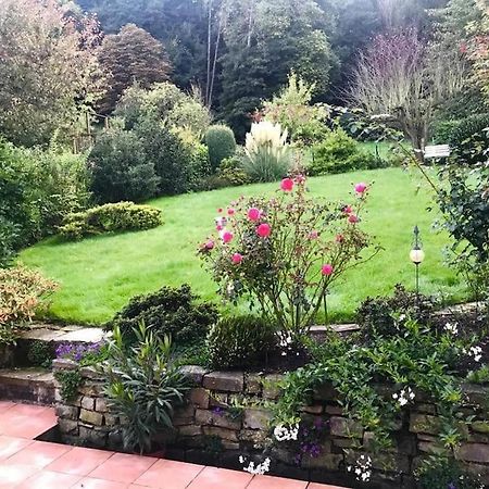 Апартаменты Ein Zuhause Mit Schonem Garten Бонн Экстерьер фото
